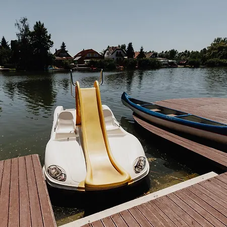 Misur Vendeghaz فيلة *