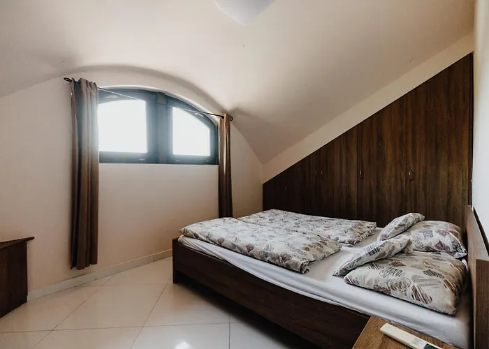 Misur Vendeghaz Villa Békésszentandrás